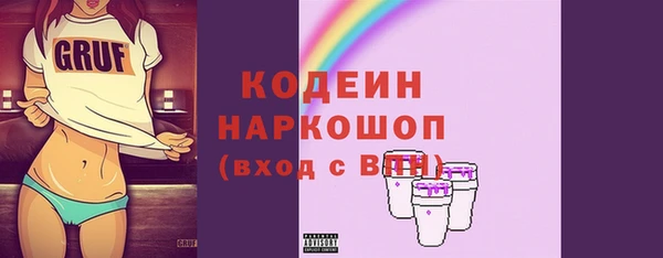шишки Медвежьегорск