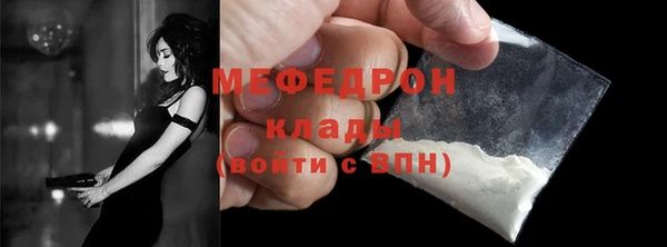 шишки Медвежьегорск