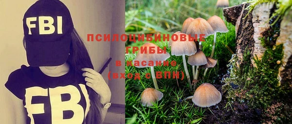 ECSTASY Магадан