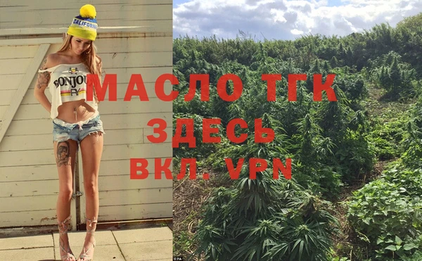 прущие грибы Медногорск