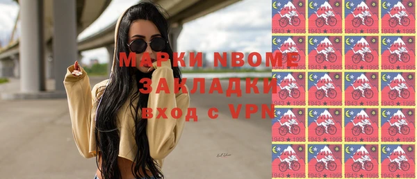 шишки Медвежьегорск