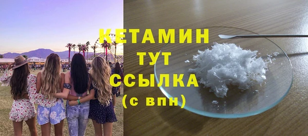 шишки Медвежьегорск