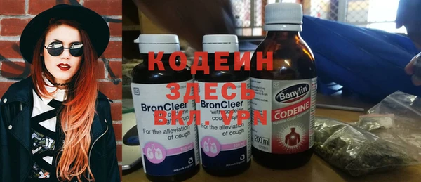 шишки Медвежьегорск