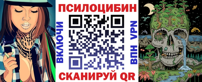 Галлюциногенные грибы GOLDEN TEACHER  Купить закладки  Медынь 